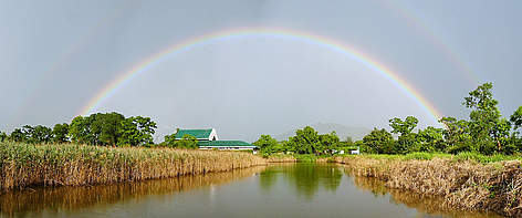 Rainbow over Mai Po Education centre
© Bena Smith / WWF-Hong Kong Rainbow over Mai Po Education centre rel=